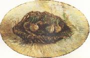 Vincent Van Gogh Basket of Sprouting Bulbs (nn04) oil painting picture wholesale